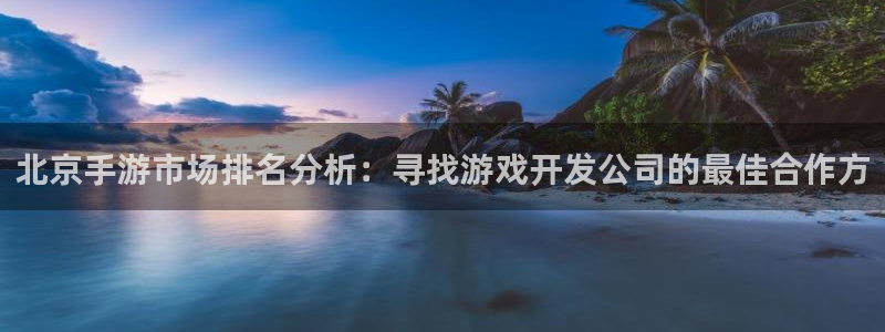 万赢娱乐旧版网站：北京手游市场排名分析：寻找游戏开发公司的最