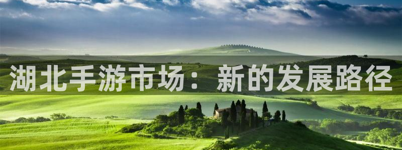 万赢娱乐优惠活动：湖北手游市场：新的发展路径