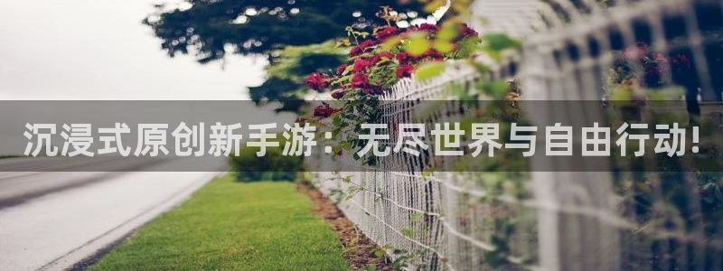 万赢娱乐论坛：沉浸式原创新手游：无尽世界与自由行动!