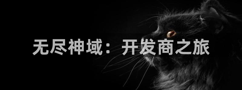 万赢娱乐情感客服：无尽神域：开发商之旅