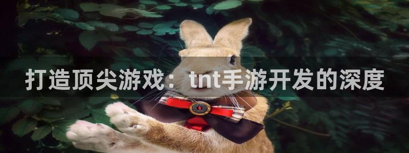 万赢娱乐最新登录入口：打造顶尖游戏：tnt手游开发的深度