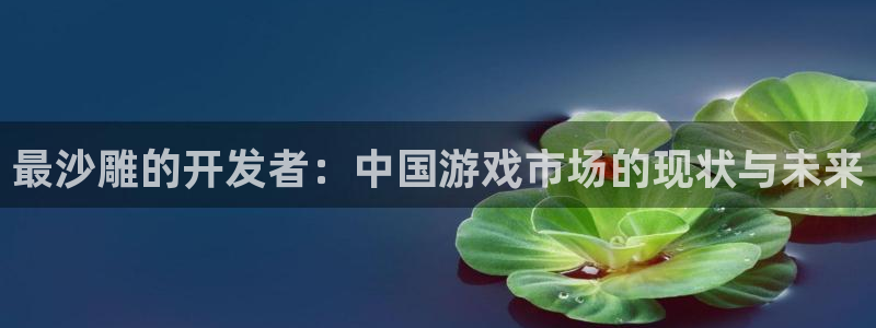 万赢娱乐的官方地址：最沙雕的开发者：中国游戏市场的现状与未来