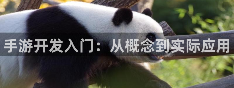 万赢娱乐优惠活动：手游开发入门：从概念到实际应用