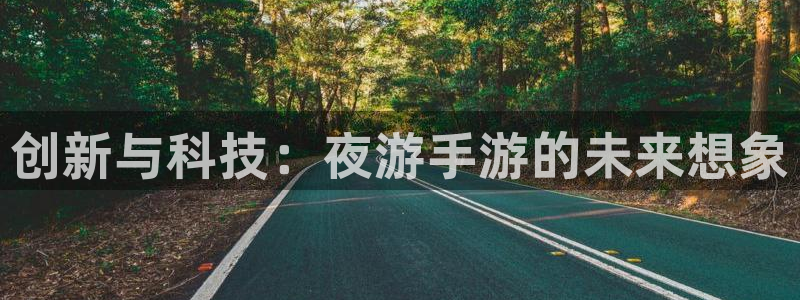 万赢棋牌：创新与科技：夜游手游的未来想象