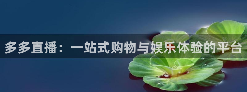 小九直播免费足球观看：多多直播：一站式购物与娱乐体验的平台