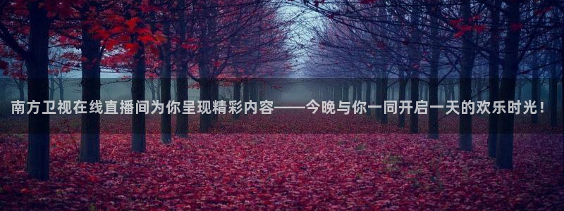 小九免费直播在线观看直播足球