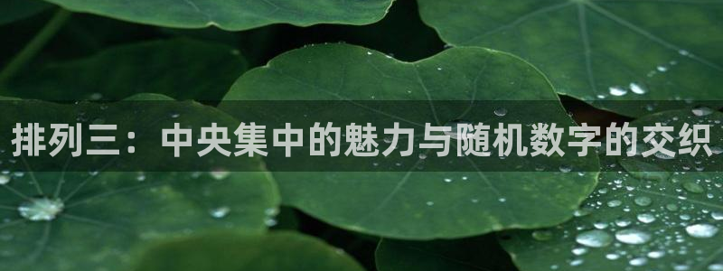 小九乐悠直播nba：排列三：中央集中的魅力与随机数字的交织