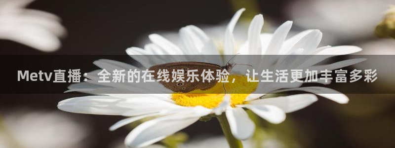 小九直播篮球nba：Metv直播：全新的在线娱乐体验，让生活更加丰富多彩
