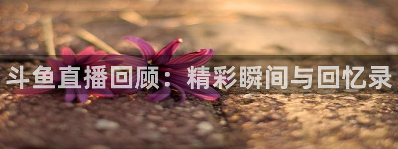 nba在线直播免费观看直播小九直播