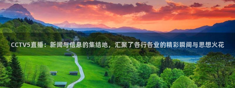 小九直播：CCTV5直播：新闻与信息的集结地，汇聚了各行各业的精彩瞬间与思想火花