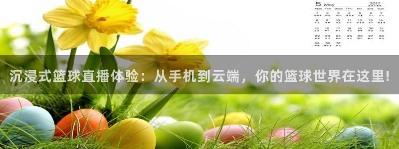 小九直播nba：沉浸式篮球直播体验：从手机到云端，你的篮球世界在这里!