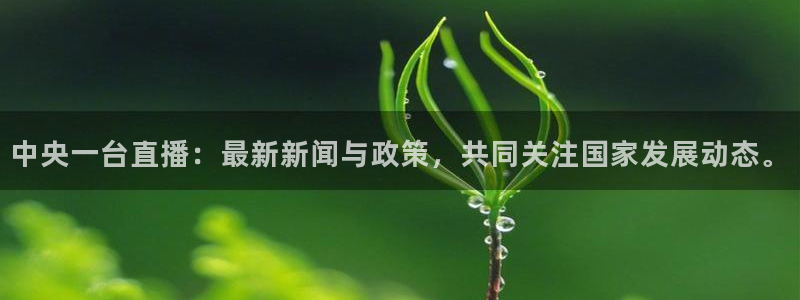 小九篮球直播：中央一台直播：最新新闻与政策，共同关注国家发展动态。