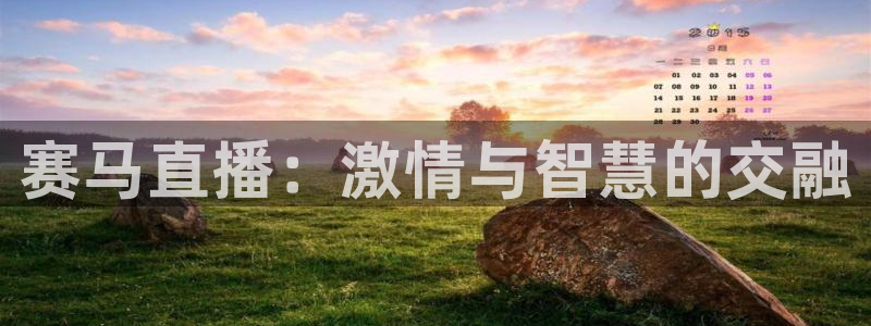 nba直播吧小九直播：赛马直播：激情与智慧的交融