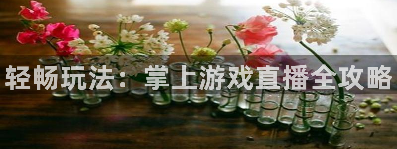 小九直播在线观看：轻畅玩法：掌上游戏直播全攻略