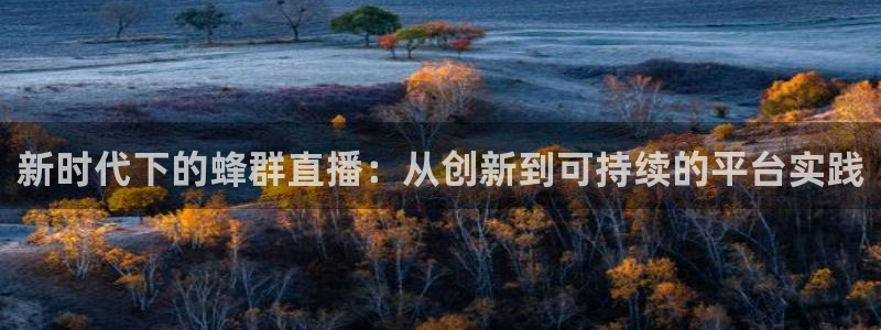 小九的视频：新时代下的蜂群直播：从创新到可持续的平台实践