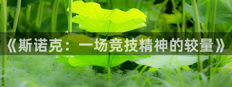 小九直播nba免费观看下载：《斯诺克：一场竞技精神的较量》
